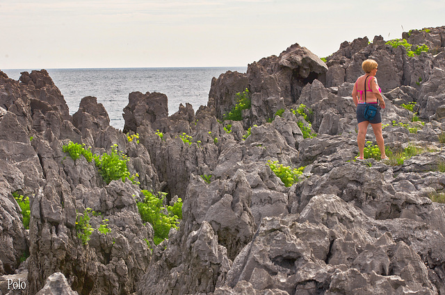 Rocas en Isla. Tribute to the Memory of Andy + (1nota)