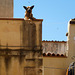neighbourhood watch neighbourhood watch