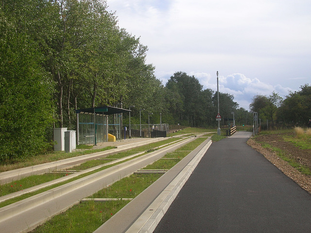 Cambridgeshire Guided Busway - 17 Jul 2011