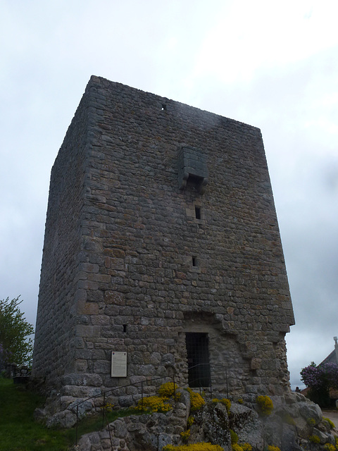 20150514 -17 Chastagnier Lozere VTT-Rando (100)