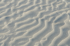 Désert de sable (1)