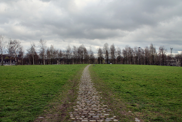 Prosperpark, früher Zechengelände (Bottrop-Batenbrock) / 19.03.2017