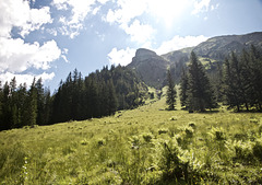 Ausblick im Tannheimer Tal