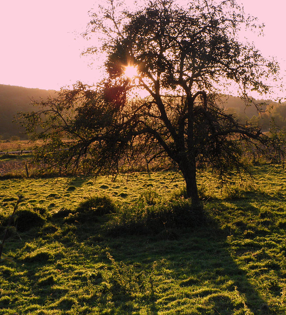 Light & Shadow