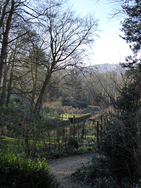 Painswick Rococo Garden (11) - 19 January 2020