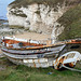 Flamborough Head- North Landing- 'Springflower'