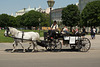 Coach and Horses, Vienna