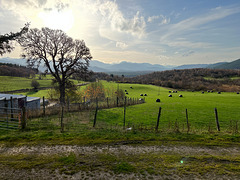 View south to the Grampians from the abandoned shack at Drochan