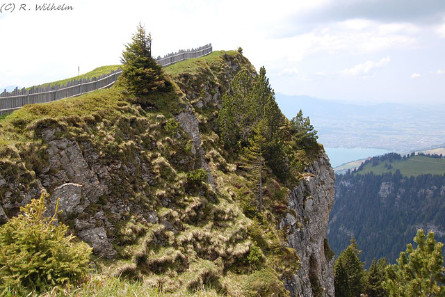 BÖ0036275