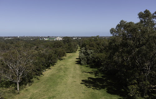 View Due west from the top of the tower