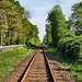 Bahnstrecke Dortmund–Enschede (Lünen-Altlünen) / 13.04.2024