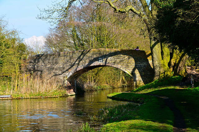 Stafford and Worcestershire Canal