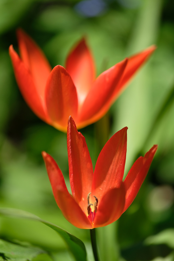 DSCF5111