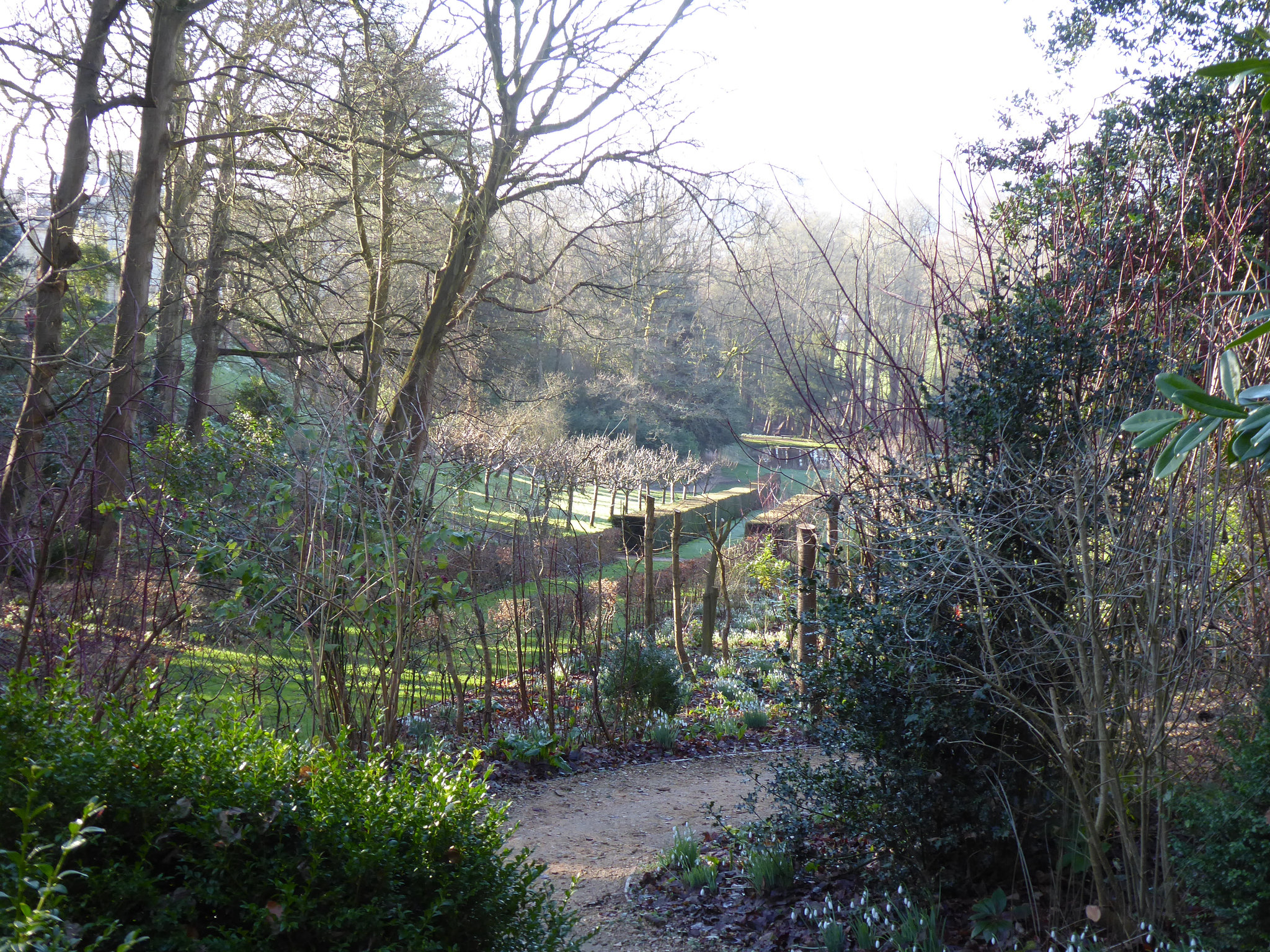 Painswick Rococo Garden (12) - 19 January 2020