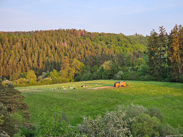 Blankenheim Ahrdorf