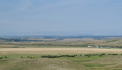 Montana prairie (#0308)