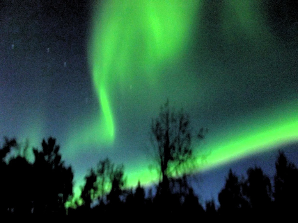 Aurora7