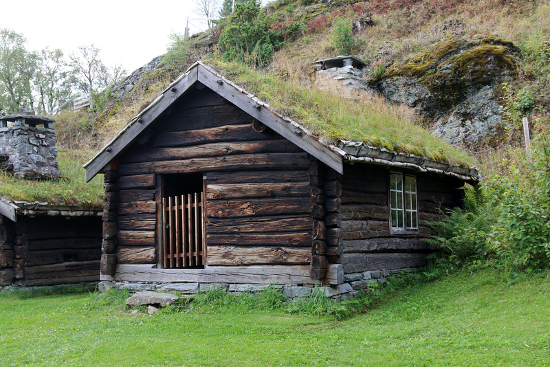 Grassy roof