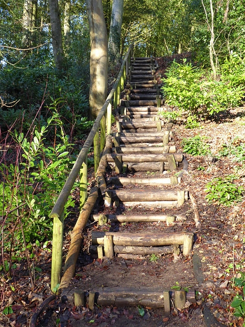 Painswick Rococo Garden (13) - 19 January 2020