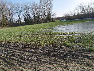 La rivière a regagné son lit