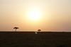 dsc03322 36948384572 o