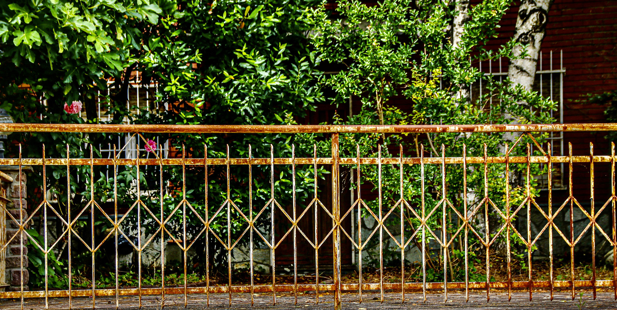 A Fence for Friday