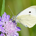 Im eleganten, schlichten Weiß - In a sleek, simple white