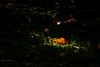 There's a light.... ;-)