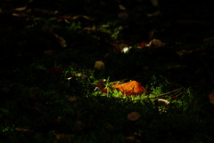 There's a light.... ;-)