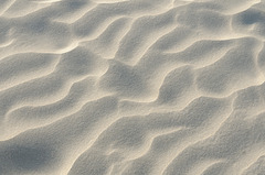 Désert de sable (3)