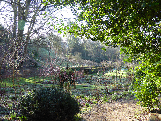 Painswick Rococo Garden (14) - 19 January 2020