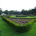 Flowers In The Volksgarten