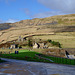 Woodhead