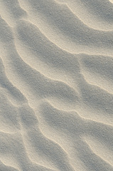Désert de sable (4)