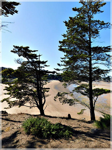 Vue depuis le GR 34 vers l'anse du Lupin (35)