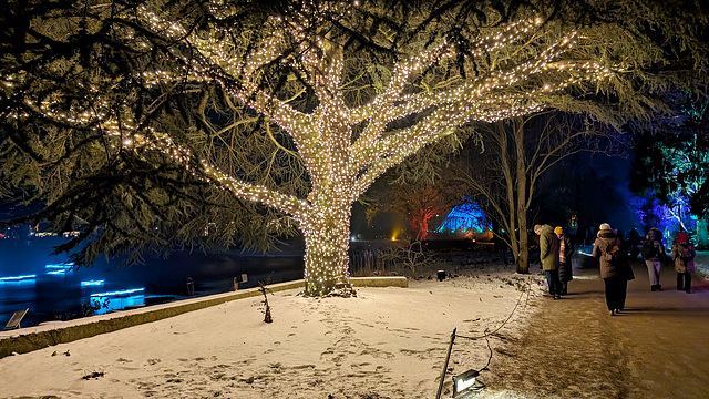 Christmas Garden in Hamburg