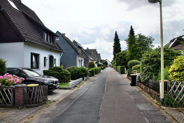 Ligusterweg (Essen-Bredeney) / 6.07.2023