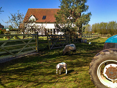 Shurdington, Gloucestershire