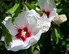 have a nice week end my friends