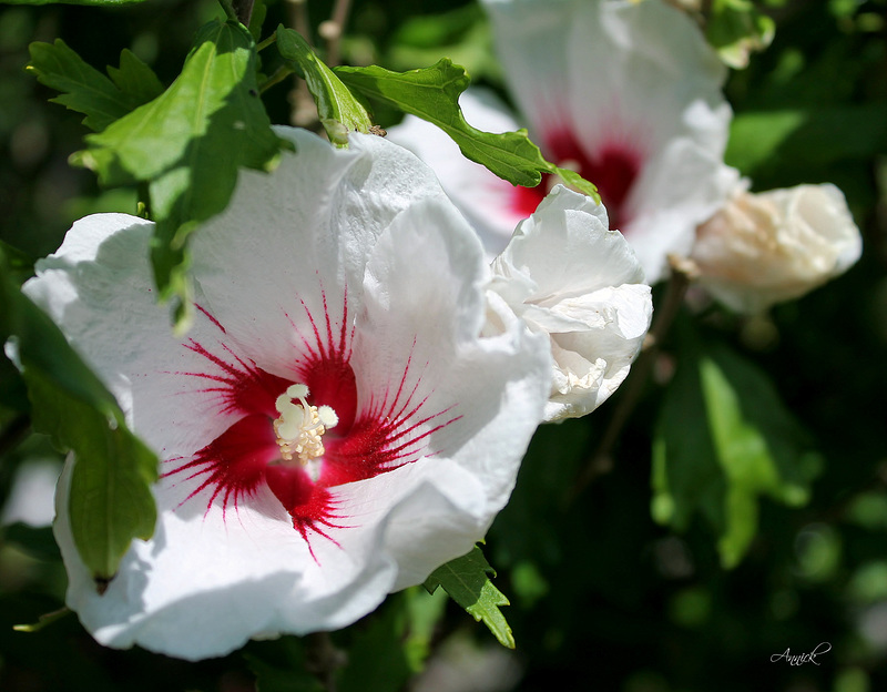 have a nice week end my friends