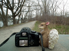 25/50 Sam le photographe / Sam takes pictures