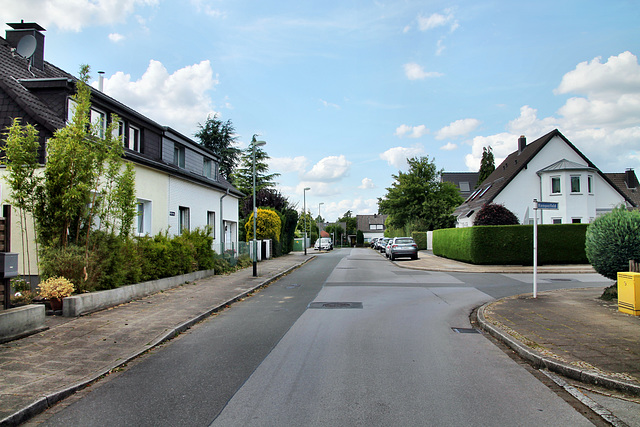 Weißdornweg (Essen-Bredeney) / 6.07.2023