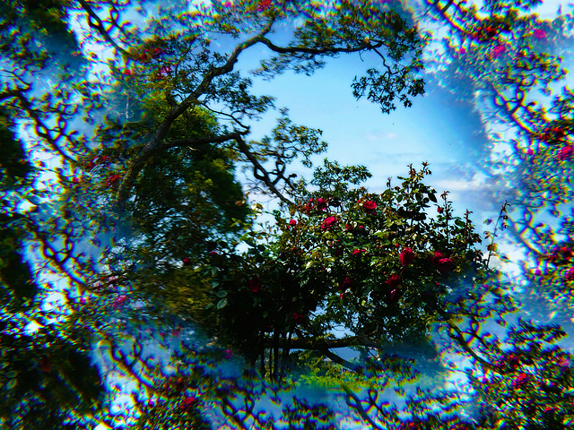 Creative Blur 4