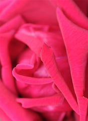DSCF8028