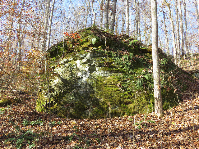 Shanty Hollow, Kentucky