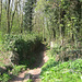 Footpath through Foxhills leading to the A449