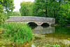 River Avon, Ringwood