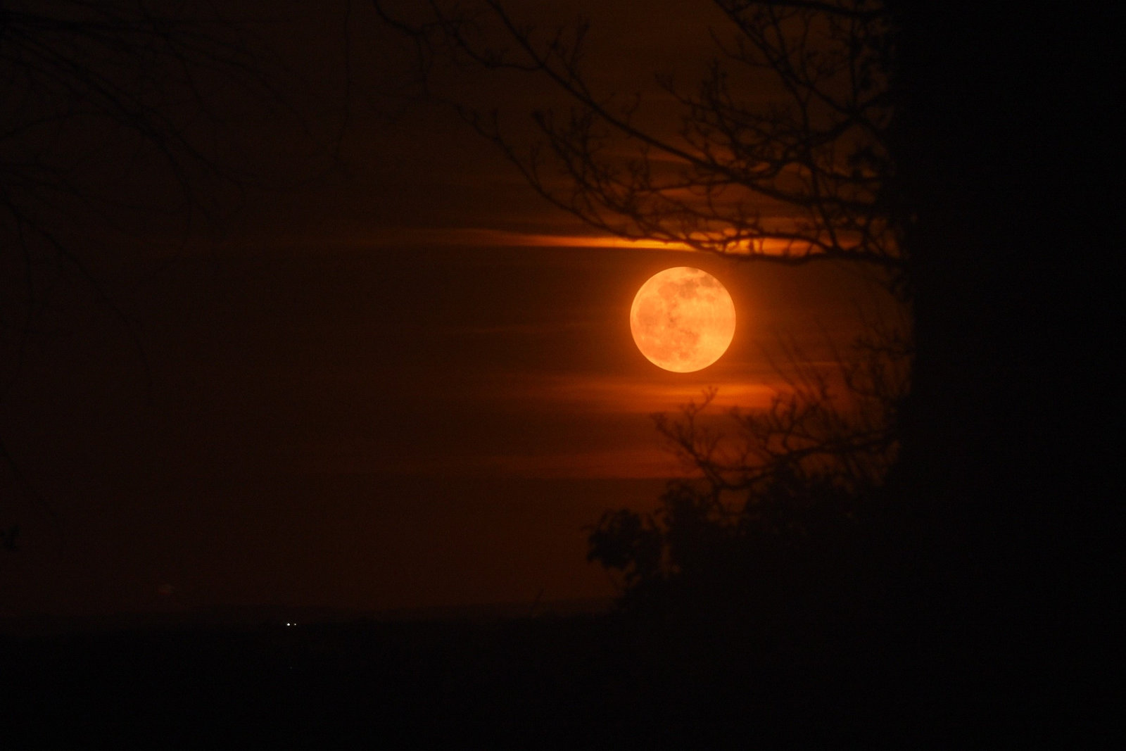 Worm Supermoon rising