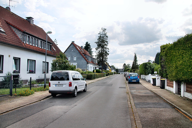 Kamperfeld (Essen-Bredeney) / 6.07.2023