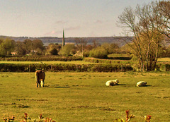 near Shurdington, Gloucestershire